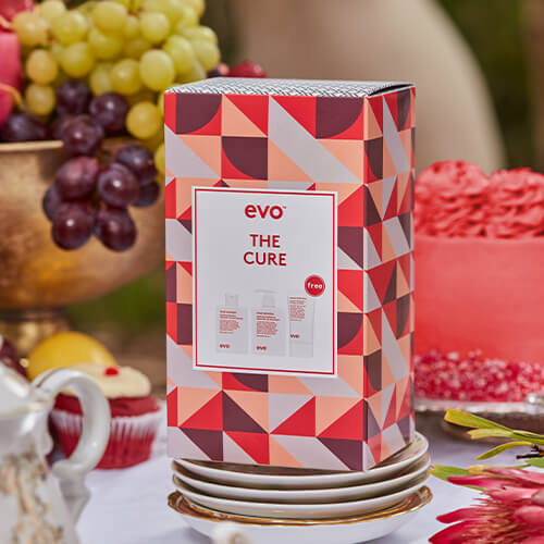 category-cards_evo_mothers-day-500x500.jpg