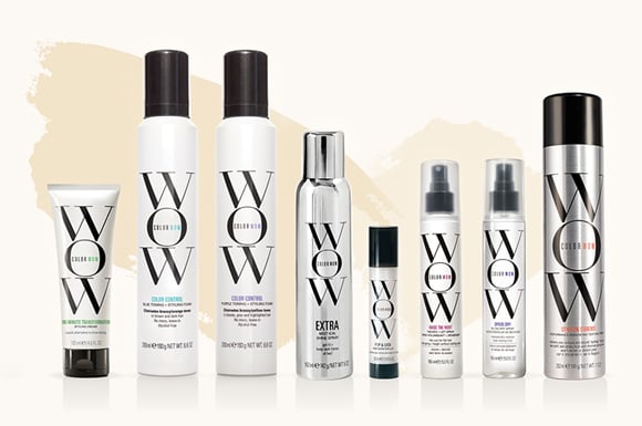 COLOR WOW Speed Dry Spray - Cut Blow Dry Time 30% | Heat Protectant,  Prevent Breakage | Cruelty-Free & Gluten-Free